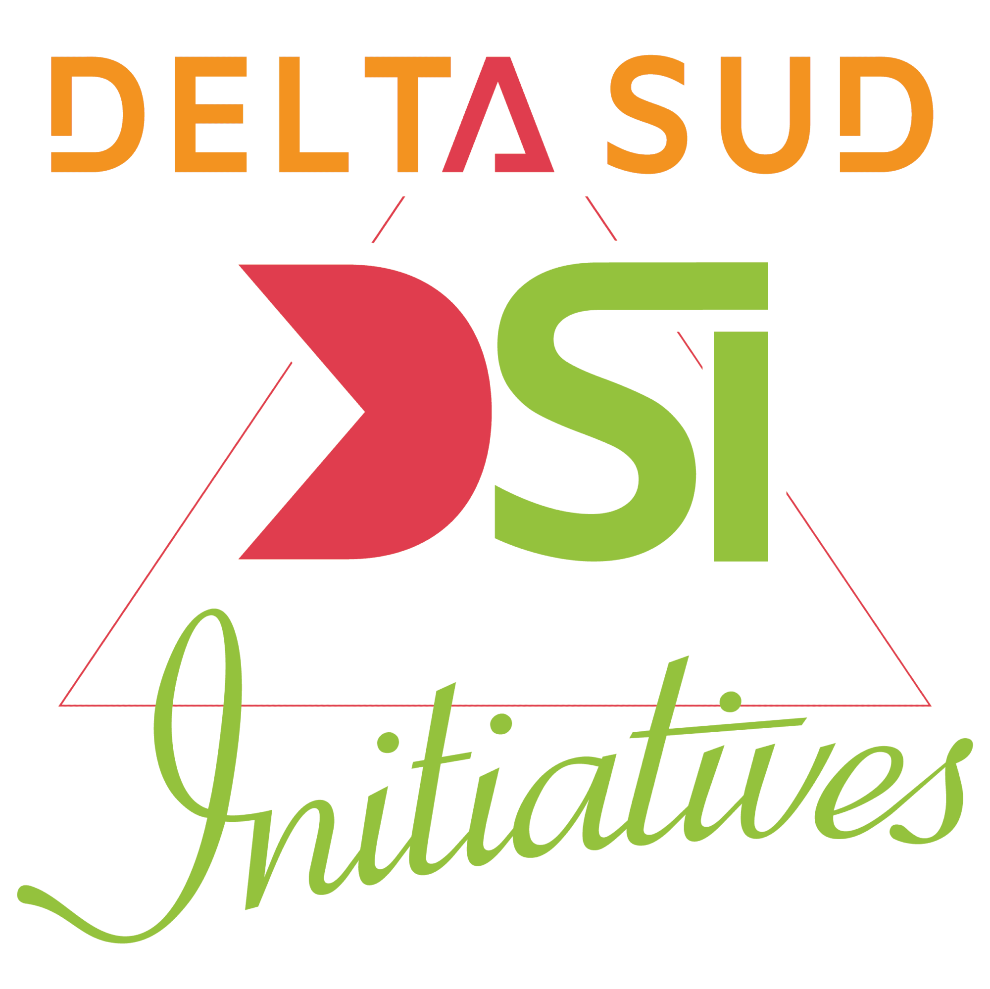 Logo en couleur de la structure Delta Sud Initiatives